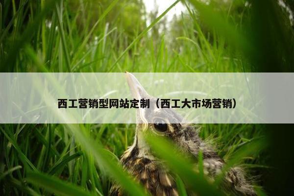 西工营销型网站定制（西工大市场营销）