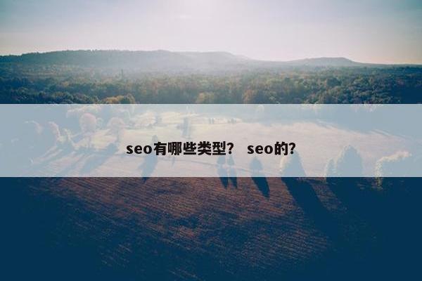 seo有哪些类型？ seo的？