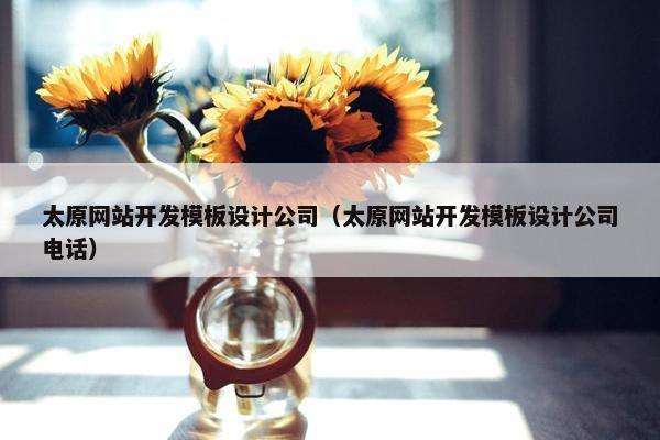太原网站开发模板设计公司（太原网站开发模板设计公司电话）