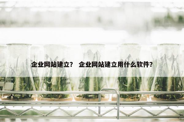 企业网站建立？ 企业网站建立用什么软件？