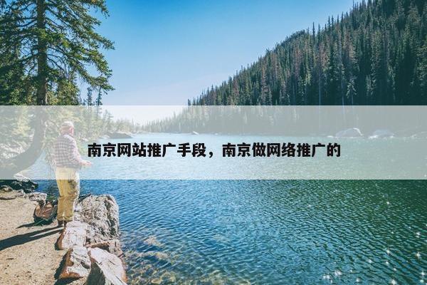 南京网站推广手段，南京做网络推广的