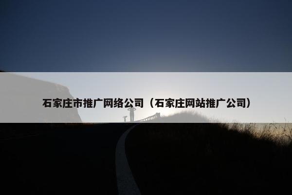 石家庄市推广网络公司（石家庄网站推广公司）