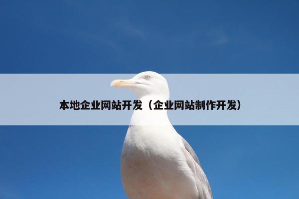 本地企业网站开发（企业网站制作开发）