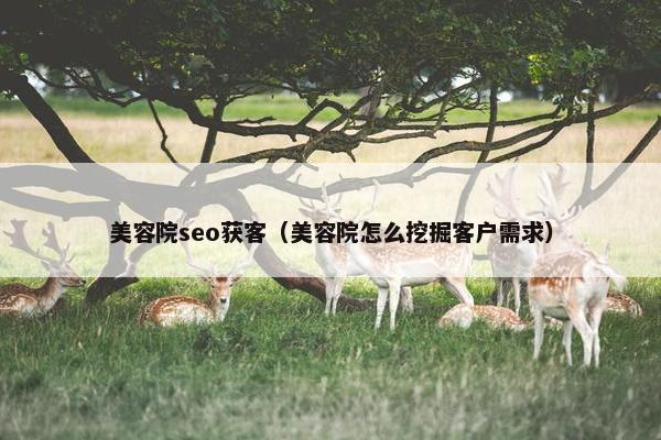 美容院seo获客（美容院怎么挖掘客户需求）