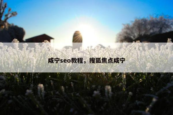 咸宁seo教程，搜狐焦点咸宁