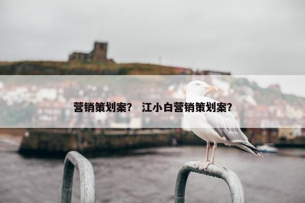 营销策划案？ 江小白营销策划案？