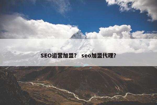 SEO运营加盟？ seo加盟代理？