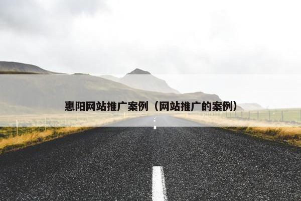 惠阳网站推广案例（网站推广的案例）