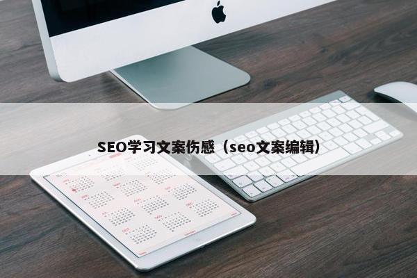SEO学习文案伤感（seo文案编辑）
