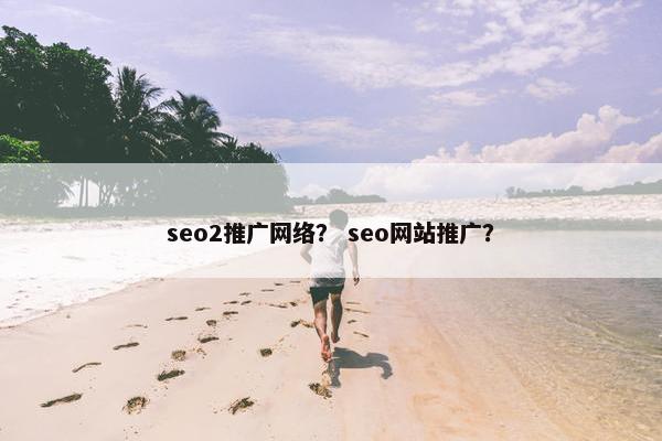 seo2推广网络？ seo网站推广？