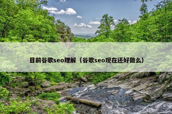目前谷歌seo理解（谷歌seo现在还好做么）