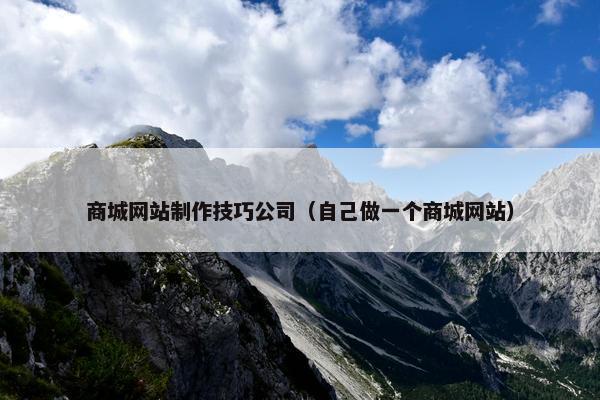 商城网站制作技巧公司（自己做一个商城网站）