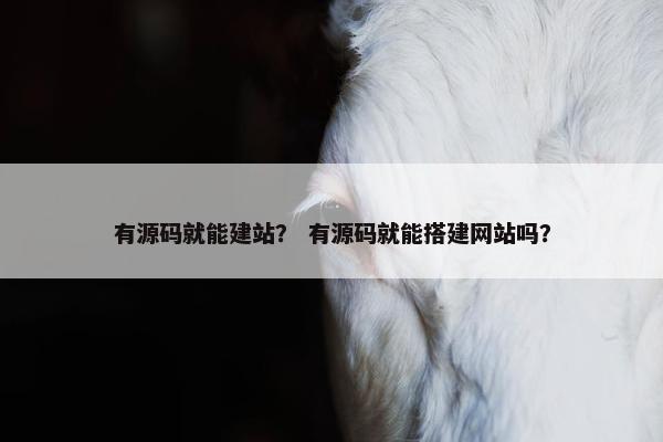有源码就能建站？ 有源码就能搭建网站吗？