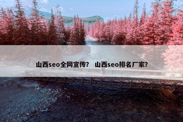 山西seo全网宣传？ 山西seo排名厂家？