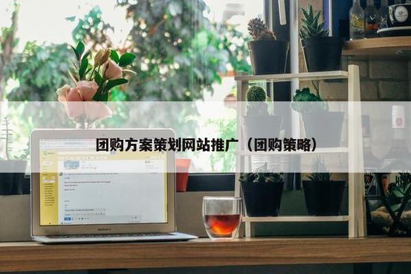 团购方案策划网站推广（团购策略）