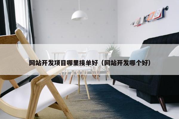网站开发项目哪里接单好（网站开发哪个好）