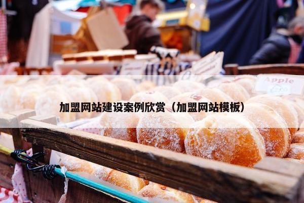 加盟网站建设案例欣赏（加盟网站模板）