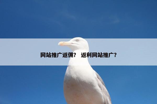 网站推广返佣？ 返利网站推广？