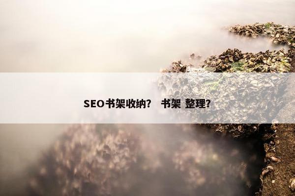 SEO书架收纳？ 书架 整理？
