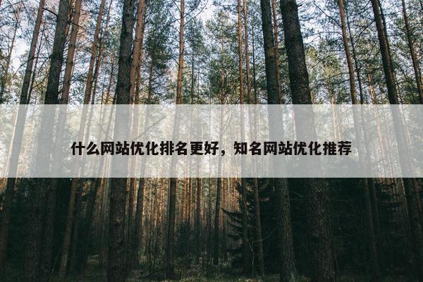 什么网站优化排名更好，知名网站优化推荐