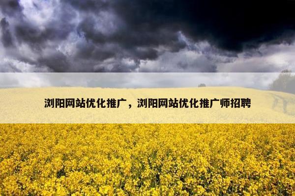 浏阳网站优化推广，浏阳网站优化推广师招聘