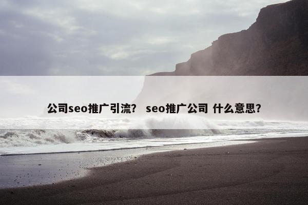 公司seo推广引流？ seo推广公司 什么意思？
