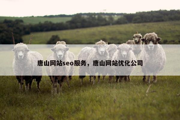 唐山网站seo服务，唐山网站优化公司