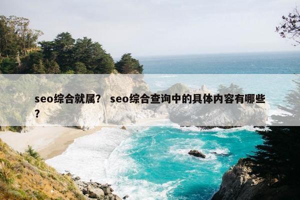 seo综合就属？ seo综合查询中的具体内容有哪些？