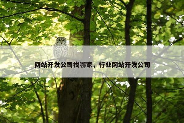 网站开发公司找哪家，行业网站开发公司