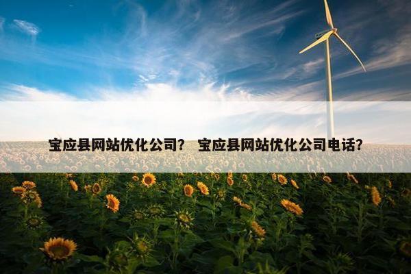 宝应县网站优化公司？ 宝应县网站优化公司电话？