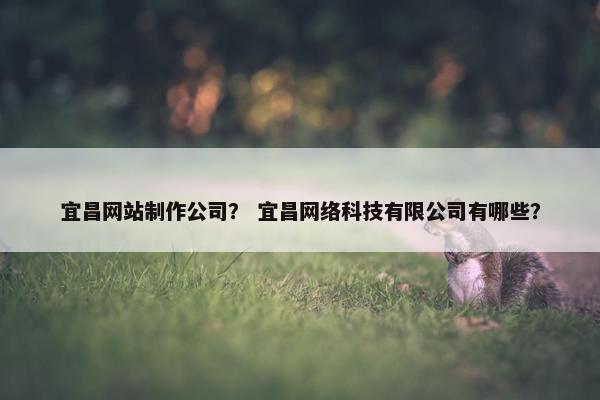 宜昌网站制作公司？ 宜昌网络科技有限公司有哪些？