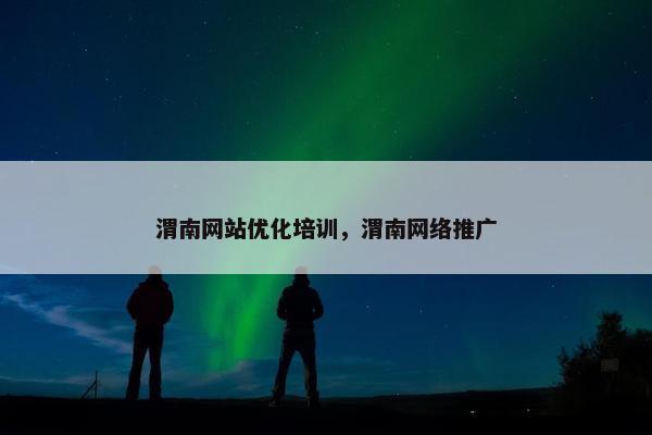 渭南网站优化培训，渭南网络推广