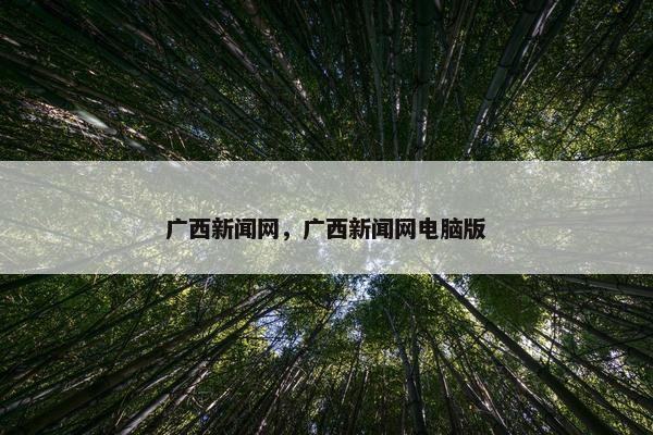 广西新闻网，广西新闻网电脑版