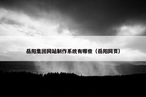 岳阳集团网站制作系统有哪些（岳阳网页）