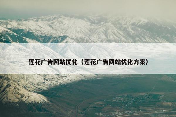 莲花广告网站优化（莲花广告网站优化方案）