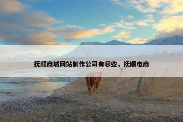 抚顺商城网站制作公司有哪些，抚顺电商