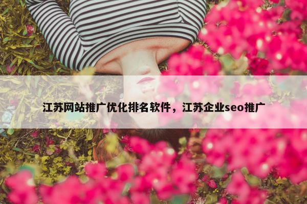 江苏网站推广优化排名软件，江苏企业seo推广