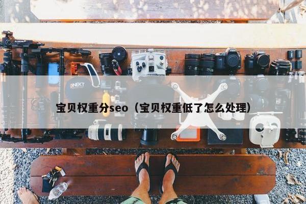 宝贝权重分seo（宝贝权重低了怎么处理）
