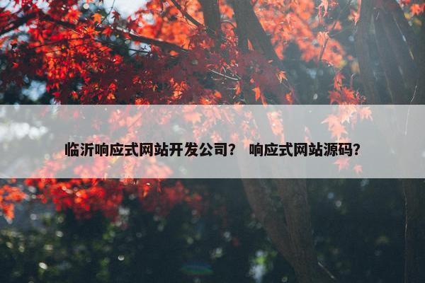 临沂响应式网站开发公司？ 响应式网站源码？