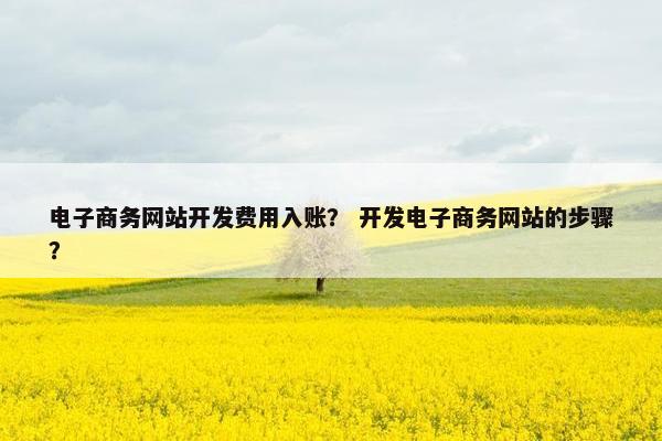 电子商务网站开发费用入账？ 开发电子商务网站的步骤？
