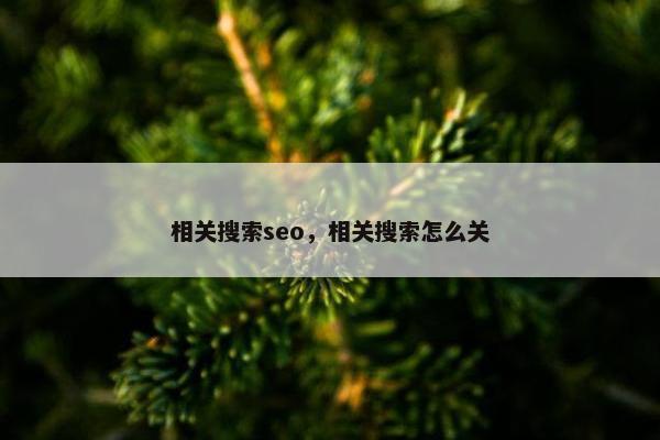 相关搜索seo，相关搜索怎么关