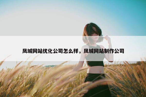 凤城网站优化公司怎么样，凤城网站制作公司