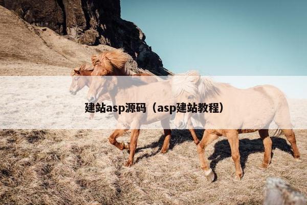 建站asp源码（asp建站教程）