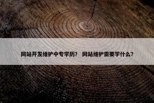 网站开发维护中专学历？ 网站维护需要学什么？