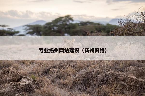 专业扬州网站建设（扬州网络）