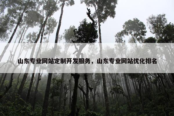 山东专业网站定制开发服务，山东专业网站优化排名