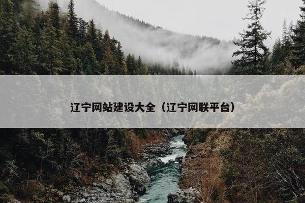 辽宁网站建设大全（辽宁网联平台）
