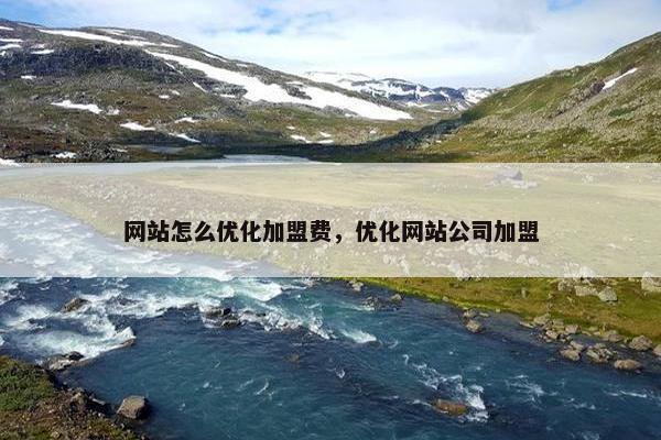 网站怎么优化加盟费，优化网站公司加盟