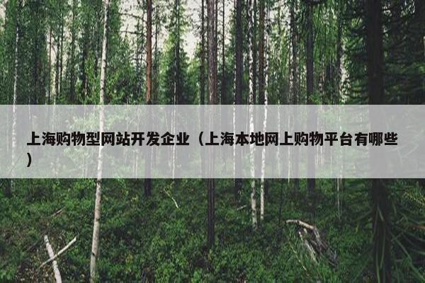 上海购物型网站开发企业（上海本地网上购物平台有哪些）