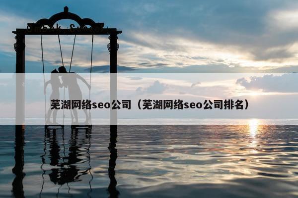 芜湖网络seo公司（芜湖网络seo公司排名）